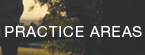 Practice Areas